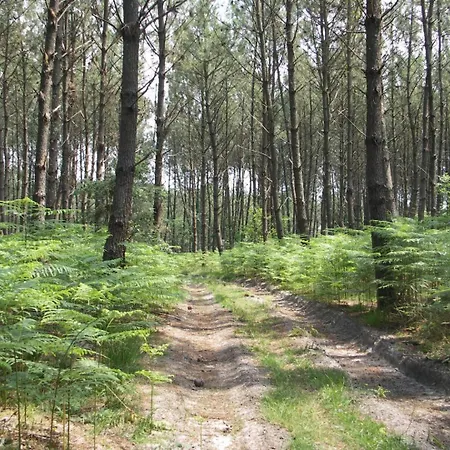 Tamaris Holiday home