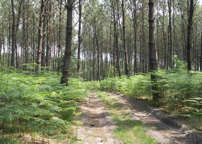 Tamaris Casa vacanze